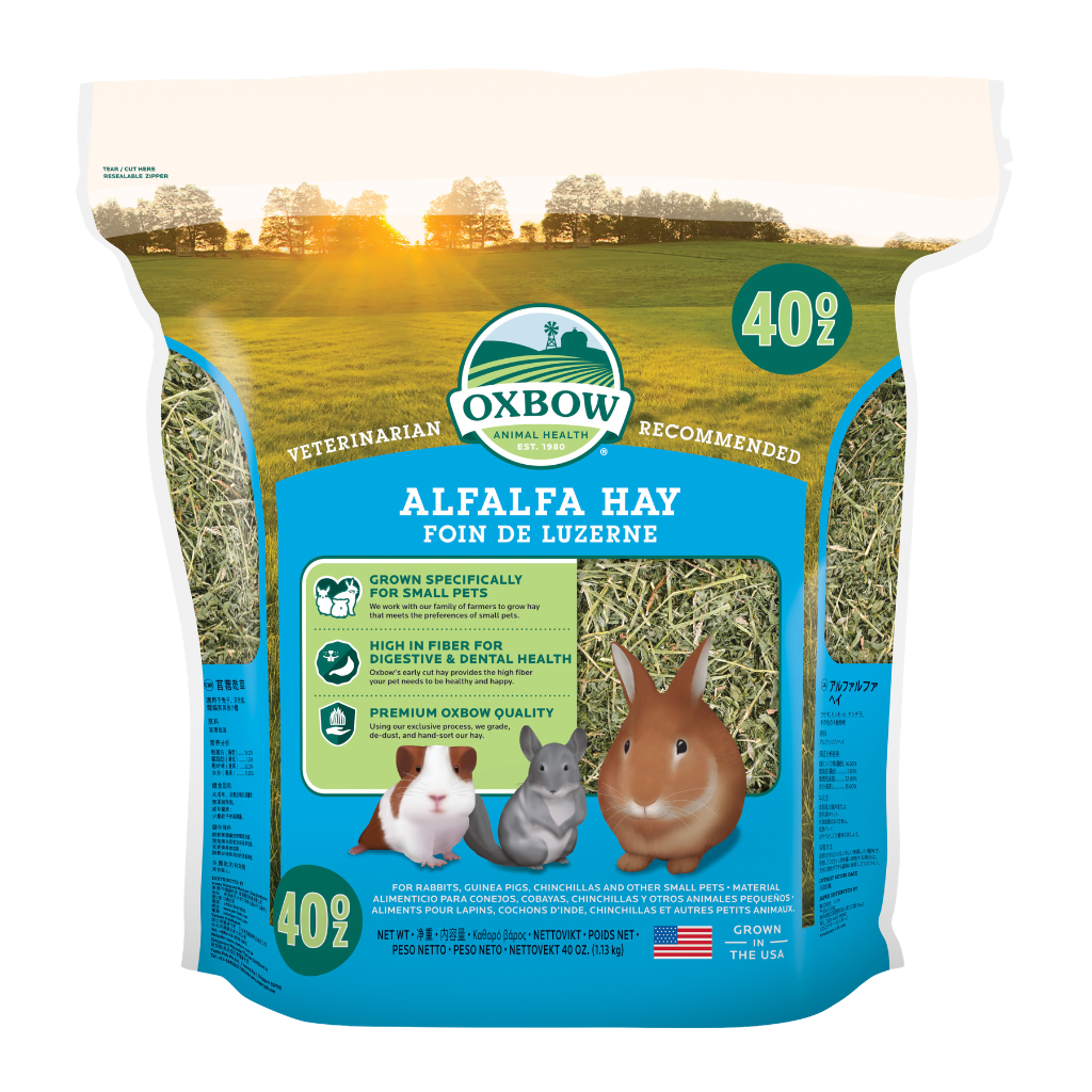 Oxbow Farm Fresh Hay for Small Animals | Timothy, Alfalfa, Oat & Botanical