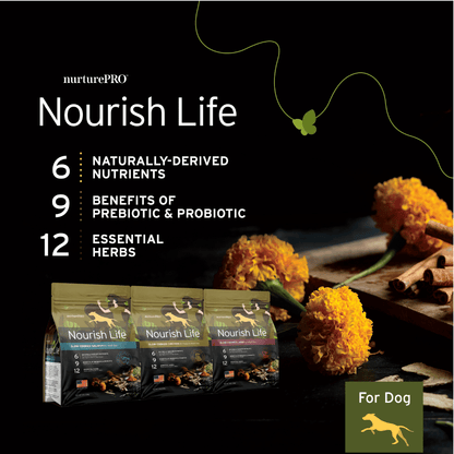 NurturePRO Nourish Life Slow-Cooked Dry Dog Food 300g