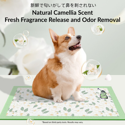 Camellia Scent Dog Pee Pad – Regular | Fast Absorbent & Odor Control