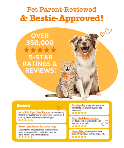 Zesty Paws Functional Bites for Dogs – 90 Soft Chew