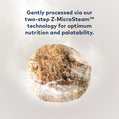 ZIWI Peak Steam & Dried Cat Food – Beef with Southern Blue Whiting | 800g / 2.2kg