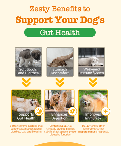Zesty Paws Functional Bites for Dogs – 90 Soft Chew