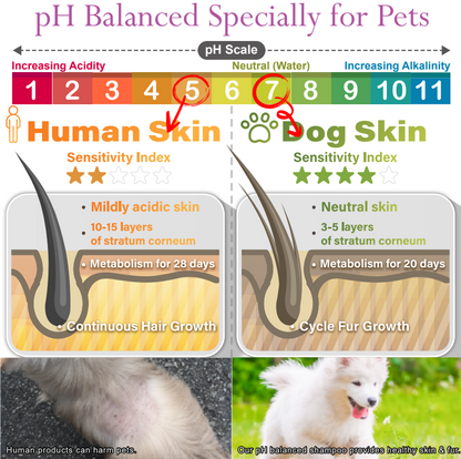ODOUT 2 in 1 Shampoo & Conditioner 500ml