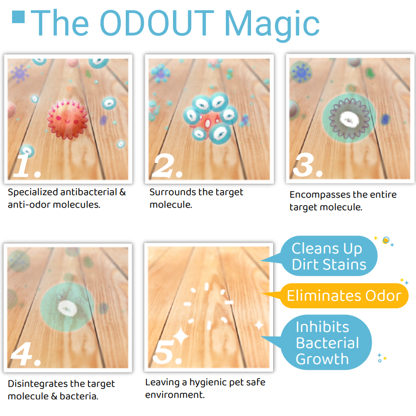 ODOUT Multi Surface Floor Cleaner 1L Dog Formula