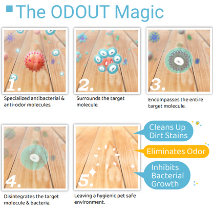 ODOUT Multi Surface Floor Cleaner 1L Dog Formula