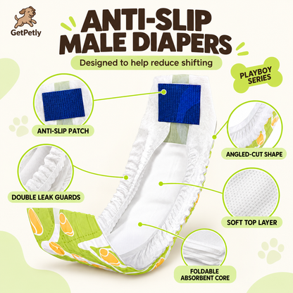 DONO'S DIARY Disposable Pet Diaper