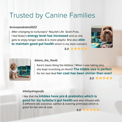 NurturePRO Nourish Life Grain-Free Dry Dog Food 272g