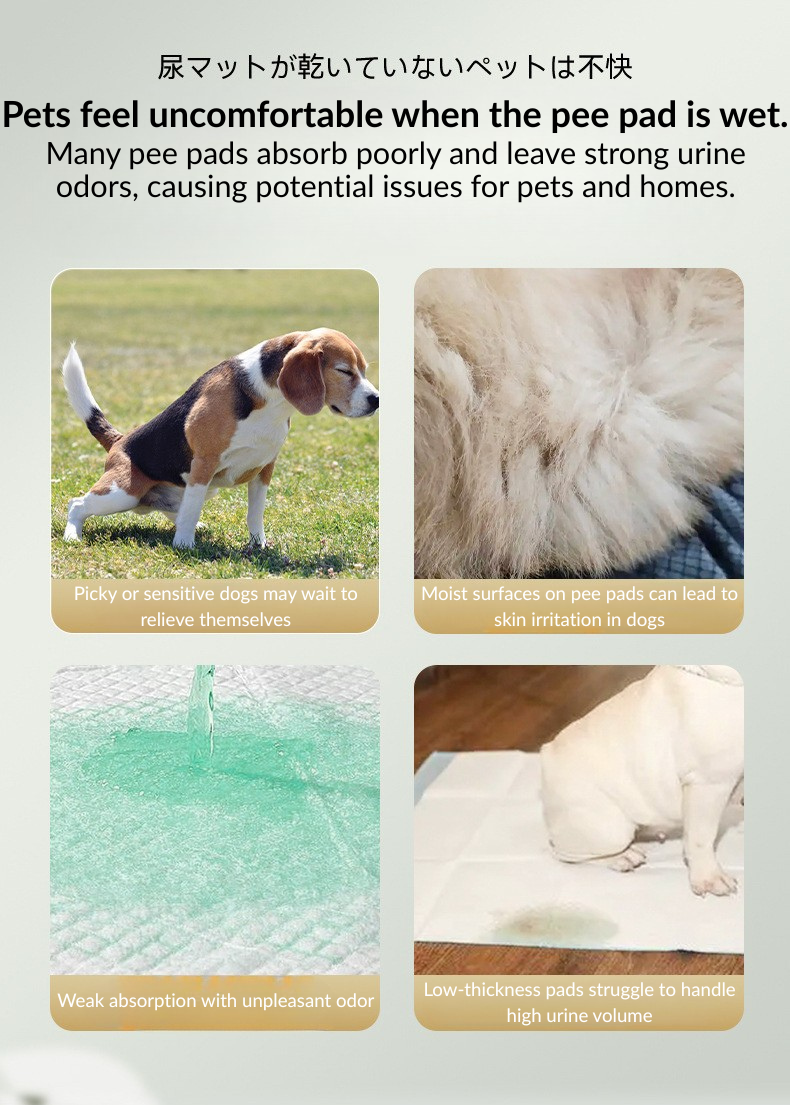 Camellia Scent Dog Pee Pad – Regular | Fast Absorbent & Odor Control