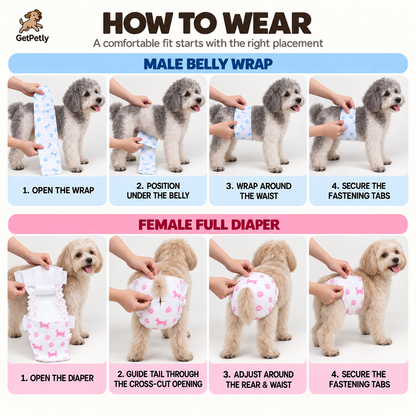 DONO'S DIARY Disposable Pet Diaper
