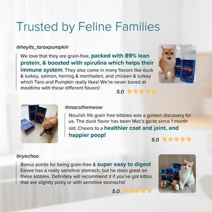 Clearance | NurturePRO Nourish Life Grain-Free Chicken & Turkey Kitten 4.99kg