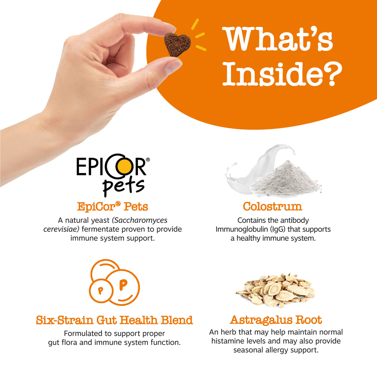 Zesty Paws Functional Bites for Dogs – 90 Soft Chew