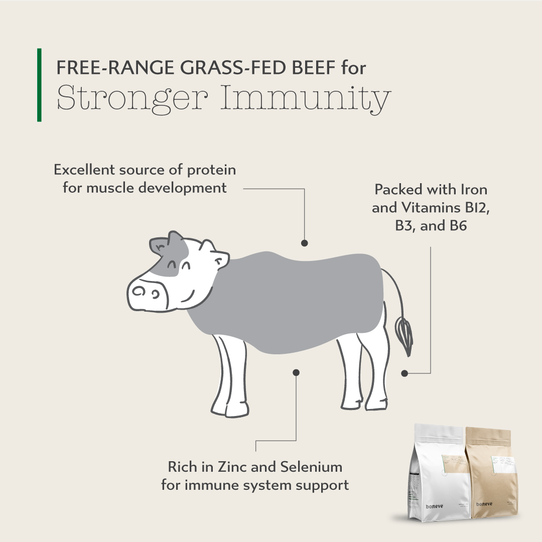 Boneve Earthmade Grain-Free Grass-Fed Beef Adult Dog Food 300g – Trial Pack