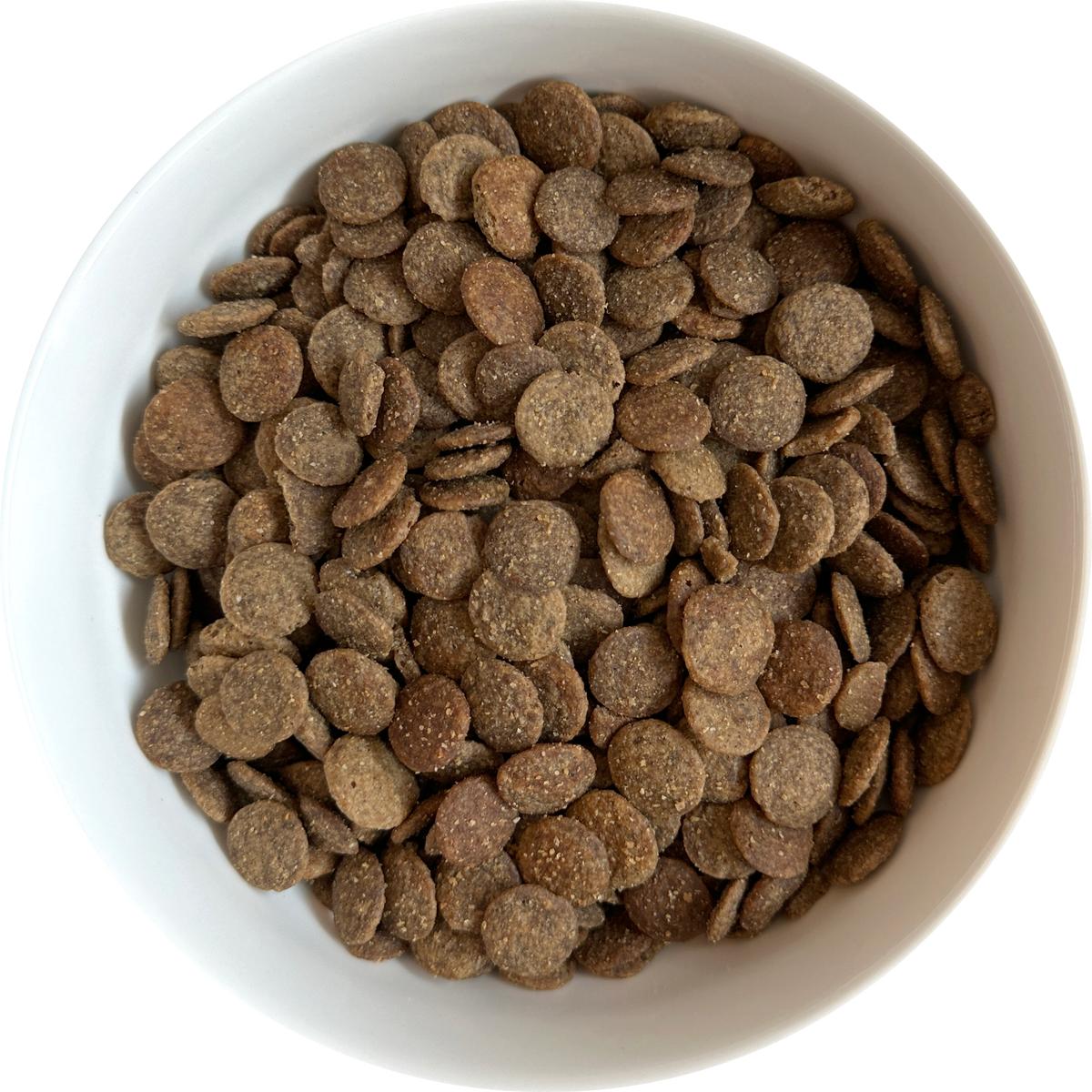 Boneve Earthmade Grain-Free Grass-Fed Beef Adult Dog Food 300g – Trial Pack