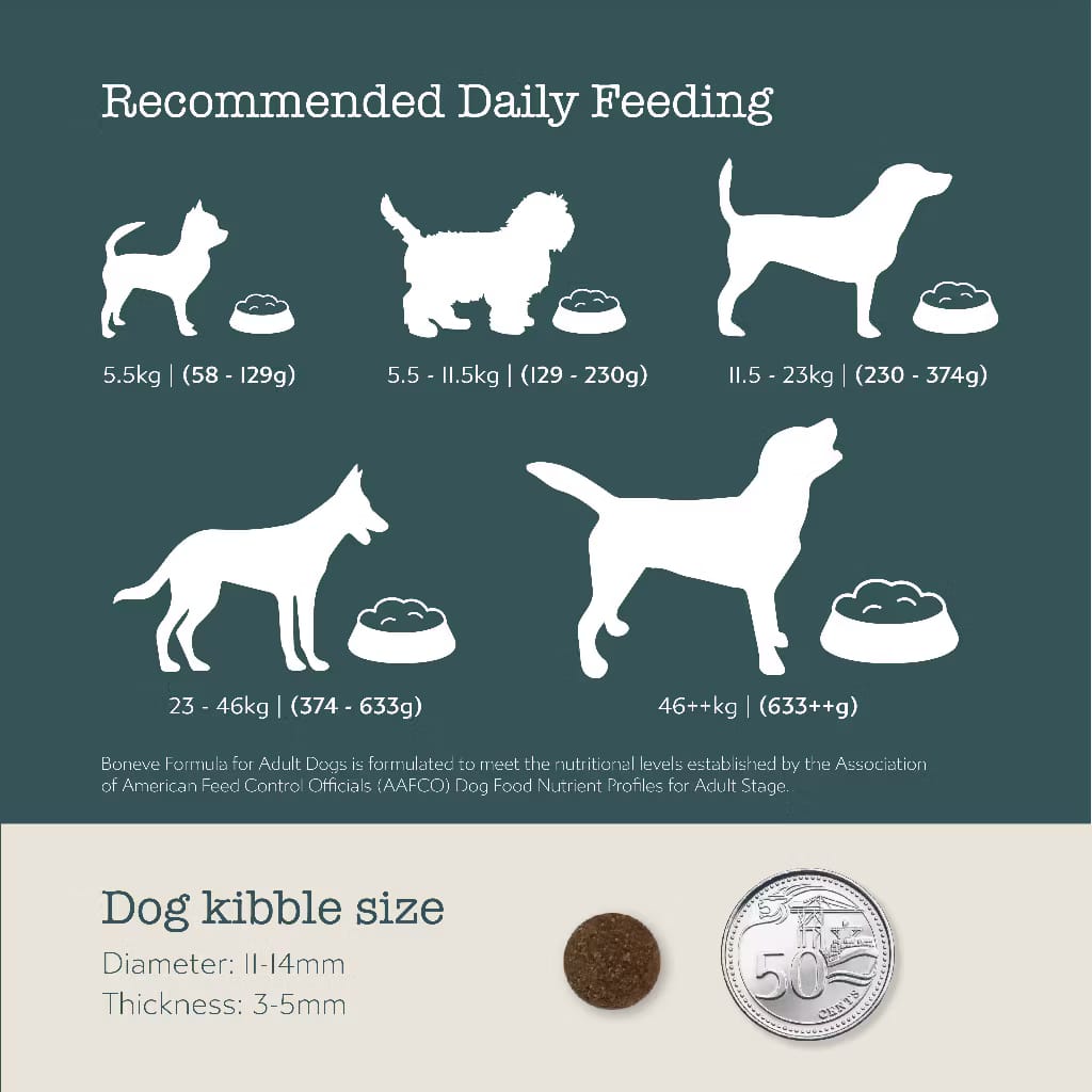 Boneve Earthmade Grain-Free Grass-Fed Beef Adult Dog Food 300g – Trial Pack