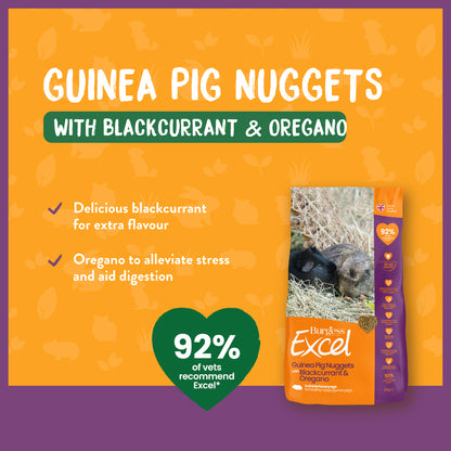 Burgess Excel Guinea Pig Nuggets with Blackcurrant & Oregano 1.5kg