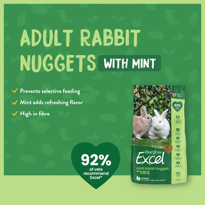 Burgess Excel Adult Rabbit Nuggets with Mint 1.5kg