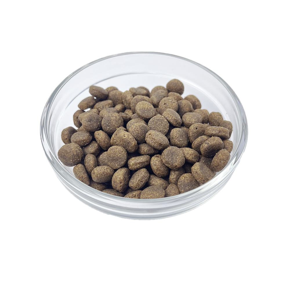 Quattro Grain-Free Dry Dog Food 1.5kg – Freeze-Dried Coated
