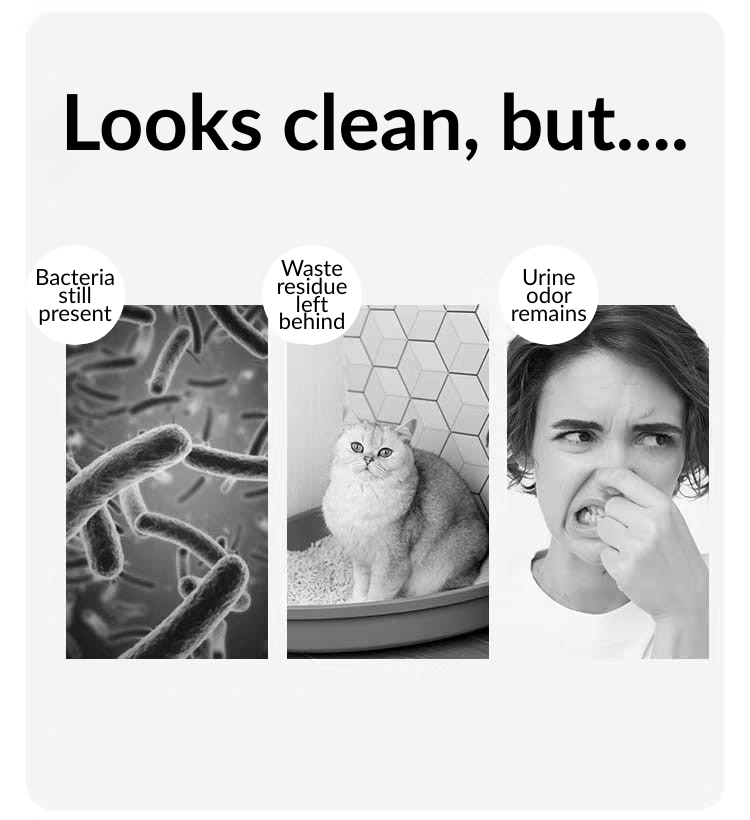 Dono Cat Litter Box Cleaner 500ml – Plant-Based & Odor Control