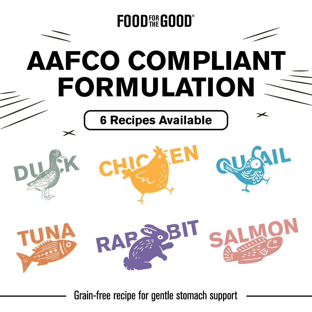 Food For The Good Smoothies – Cat Can