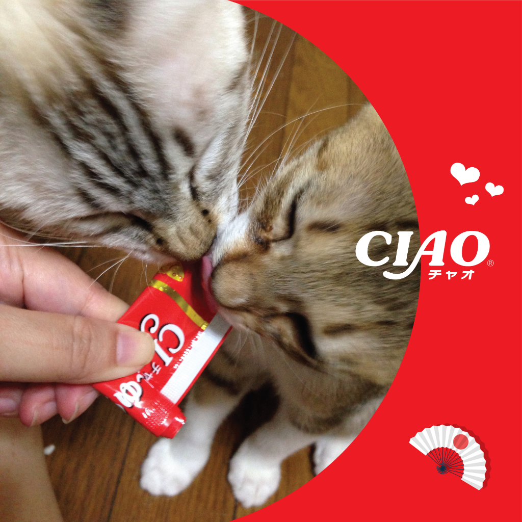 CIAO Churubee Creamy Bite Cat Treats
