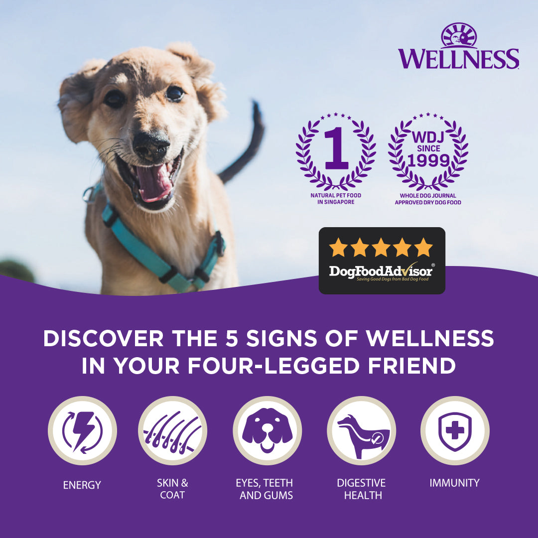 Wellness CORE Small Breed Mini Meals Wet Dog Food – 3 oz