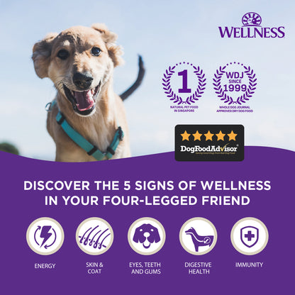 Wellness CORE Small Breed Mini Meals Wet Dog Food – 3 oz