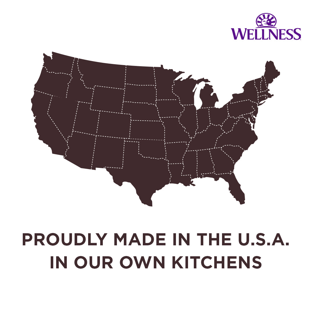 Wellness CORE Small Breed Mini Meals Wet Dog Food – 3 oz