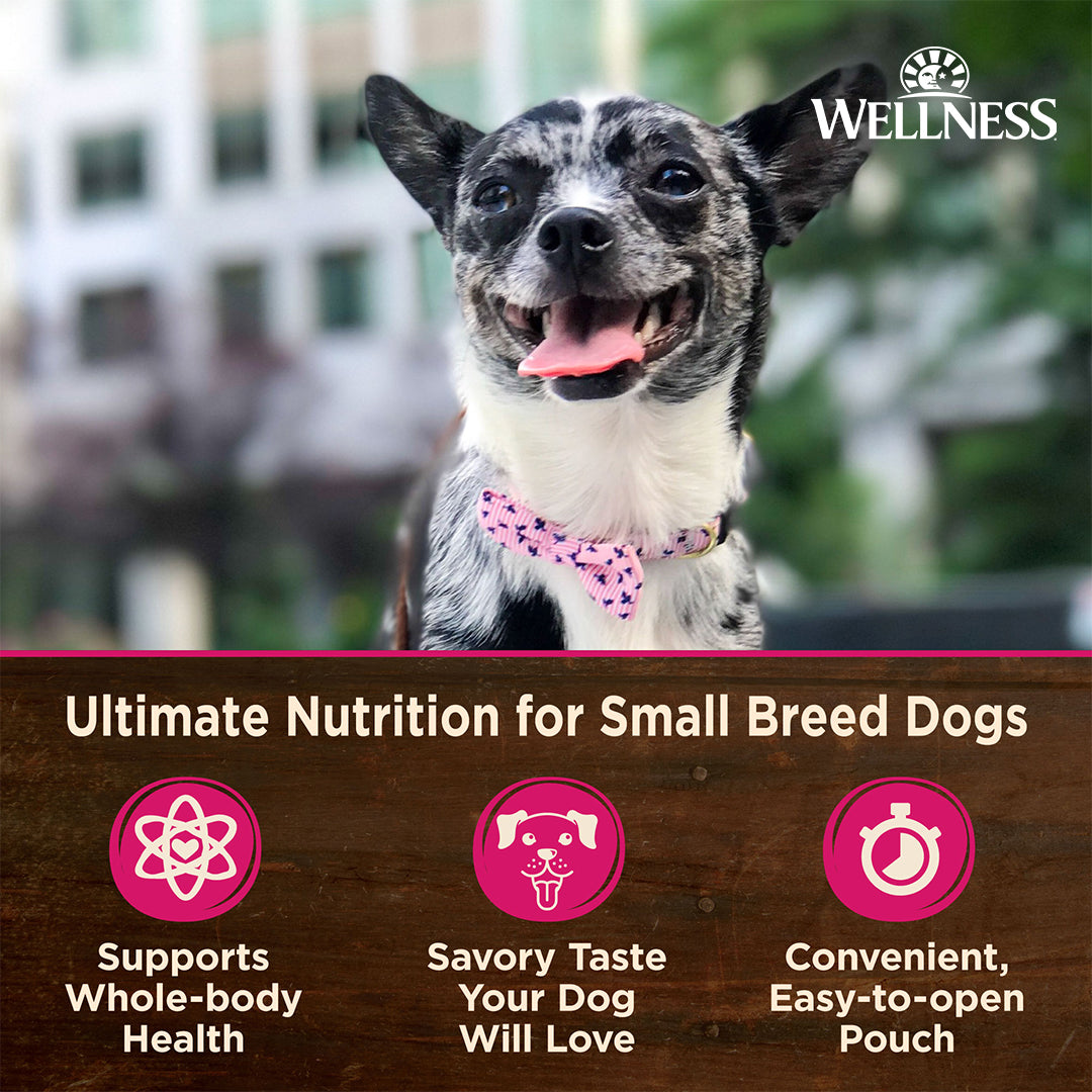 Wellness CORE Small Breed Mini Meals Wet Dog Food – 3 oz