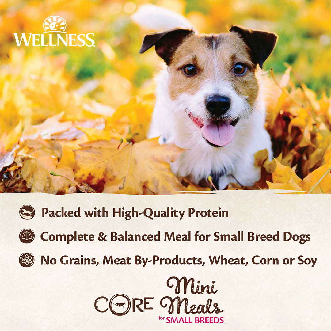 Wellness CORE Small Breed Mini Meals Wet Dog Food – 3 oz