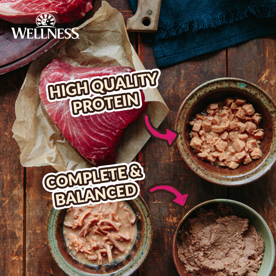 Wellness CORE Small Breed Mini Meals Wet Dog Food – 3 oz