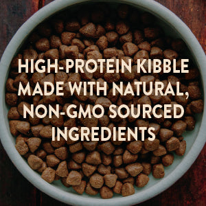 Wellness CORE Grain-Free Dry Dog Food