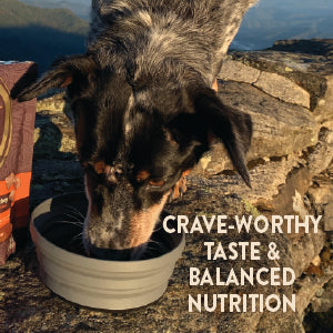 Wellness CORE Grain-Free Dry Dog Food