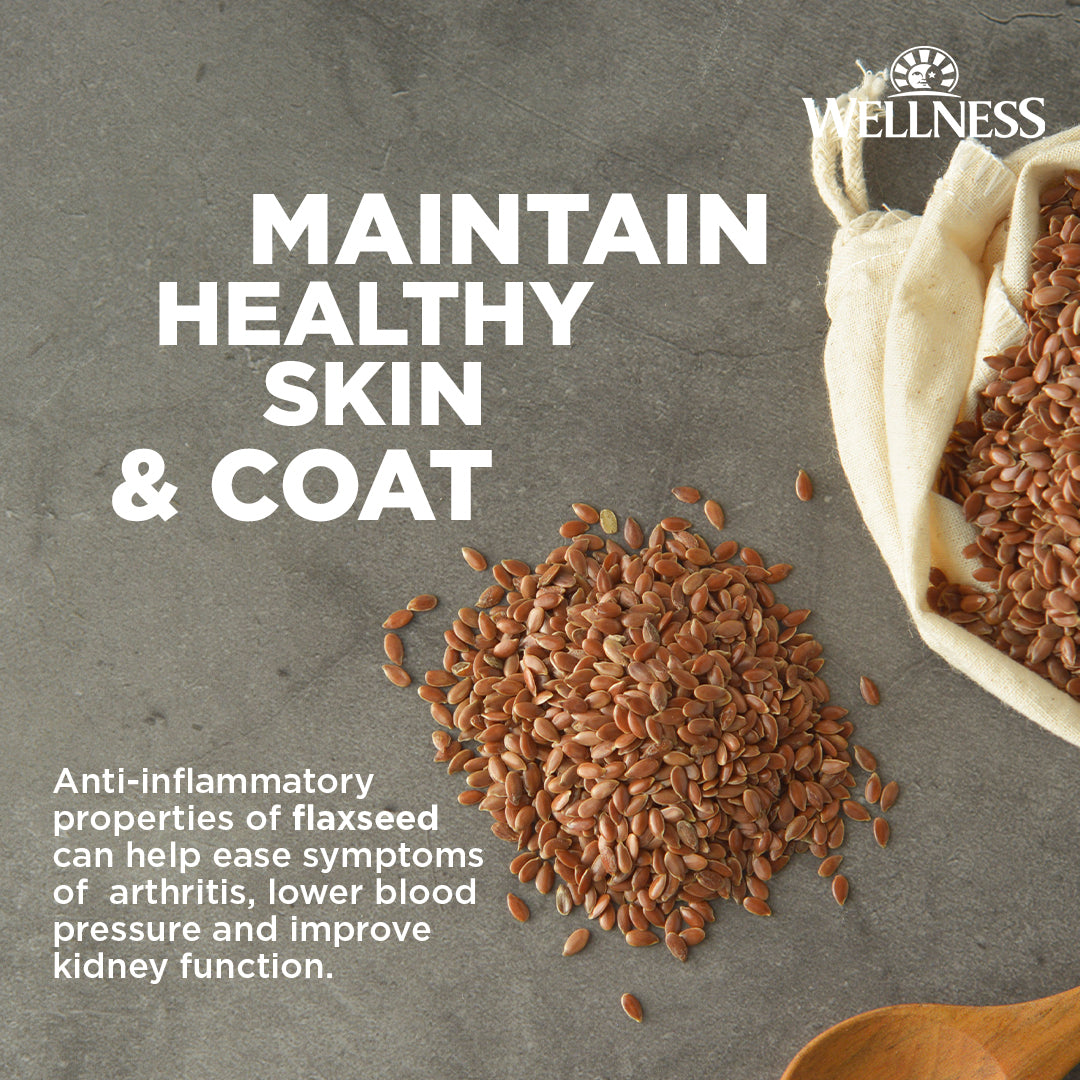 Wellness CORE Grain-Free Dry Dog Food