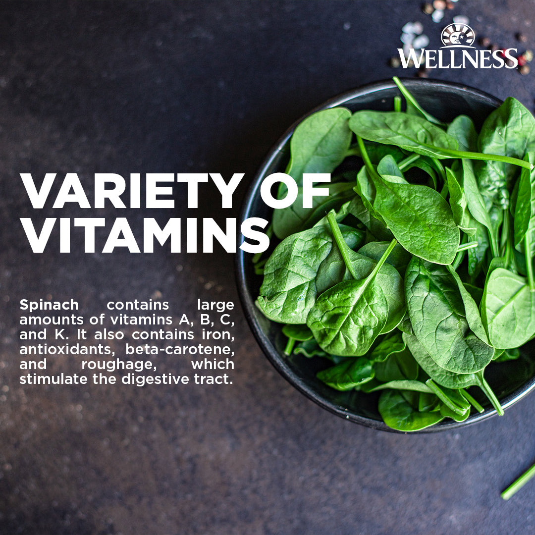 Wellness CORE Grain-Free Dry Dog Food