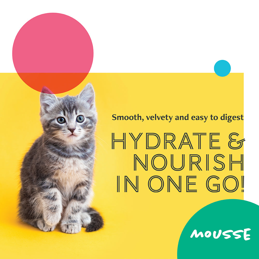 Daily Delight Mousse Cat Food | Grain-Free Wet Food