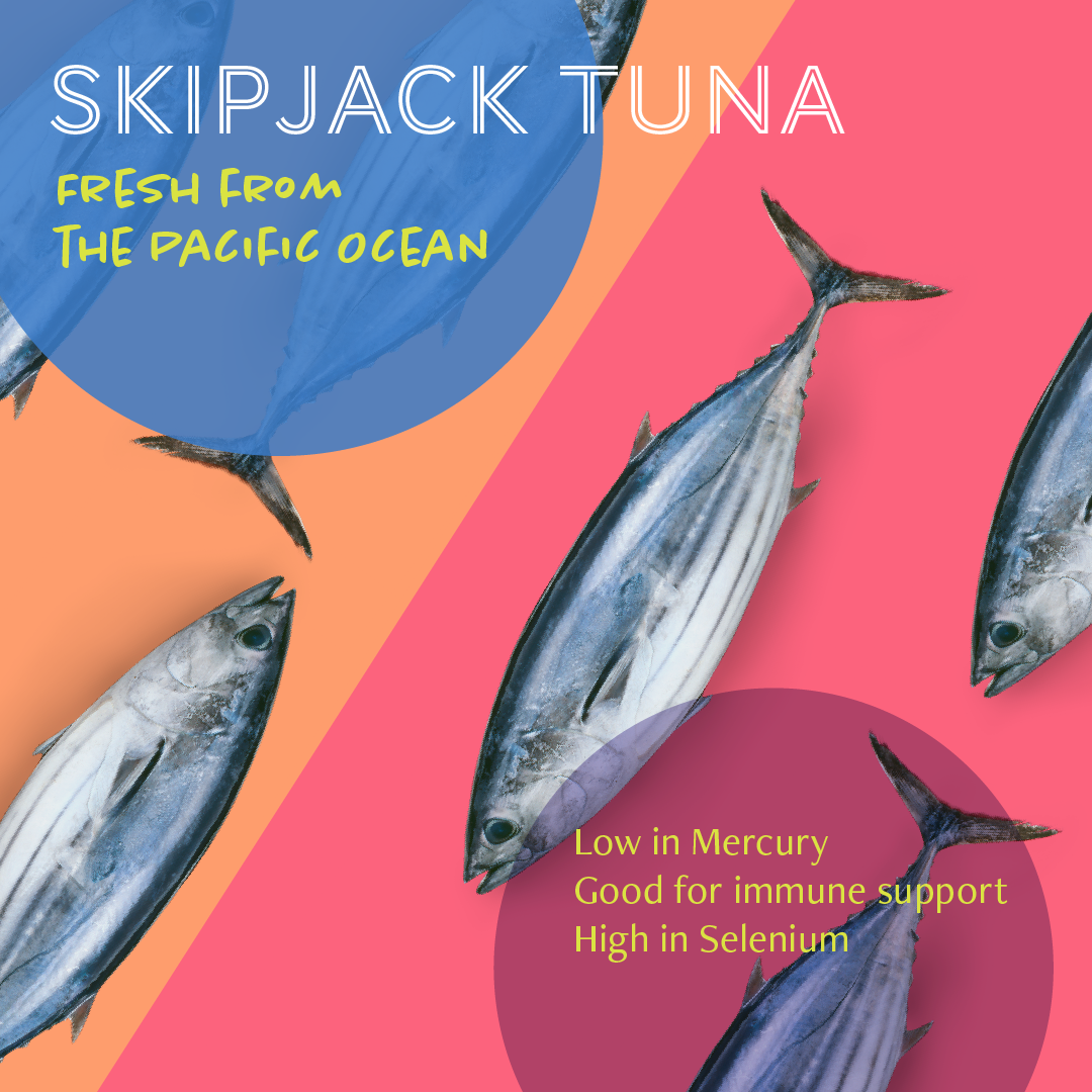 Daily Delight Skipjack Tuna White in Jelly