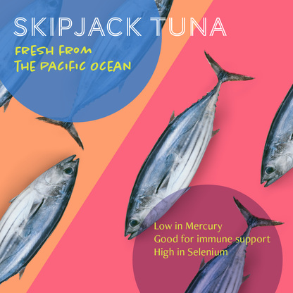 Daily Delight Skipjack Tuna White in Jelly