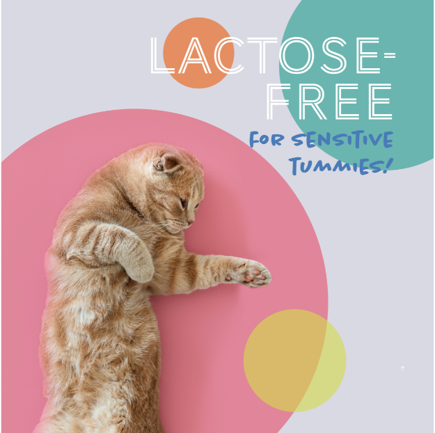 Daily Delight Moo Lactose-Free Pet Milk