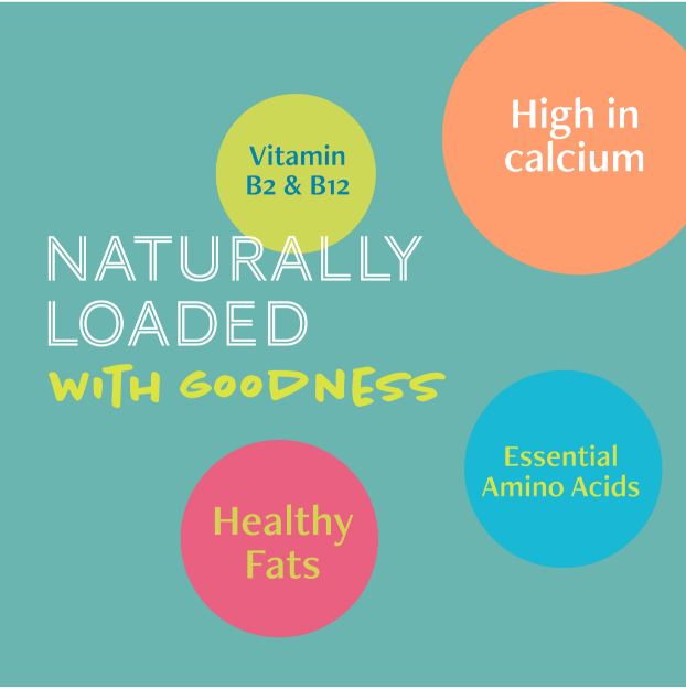 Daily Delight Moo Lactose-Free Pet Milk