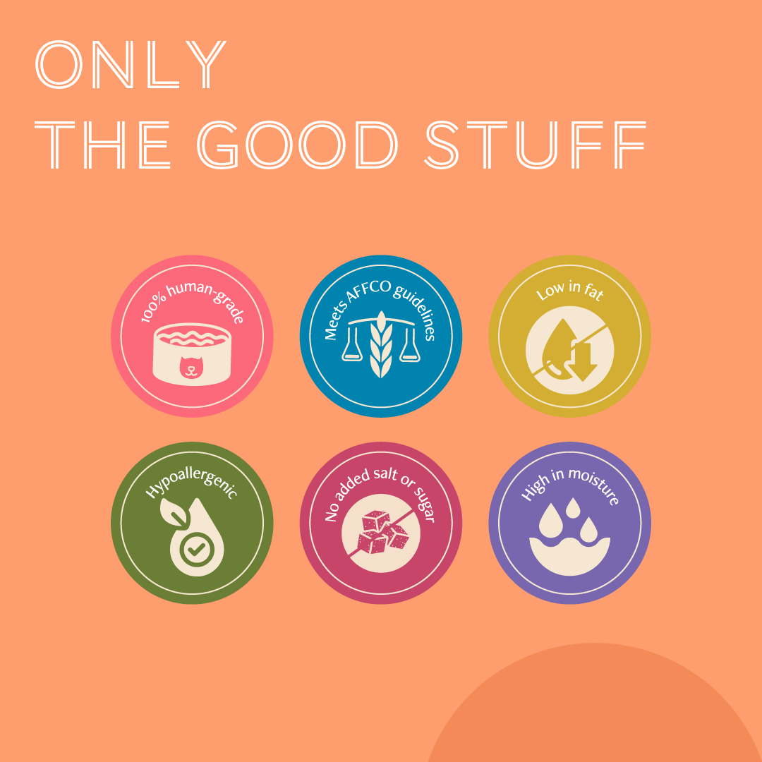 Daily Delight Mousse Cat Food | Grain-Free Wet Food
