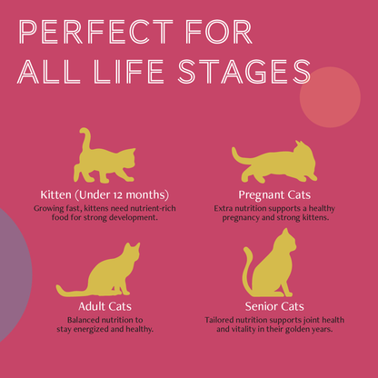 Daily Delight Mousse Cat Food | Grain-Free Wet Food