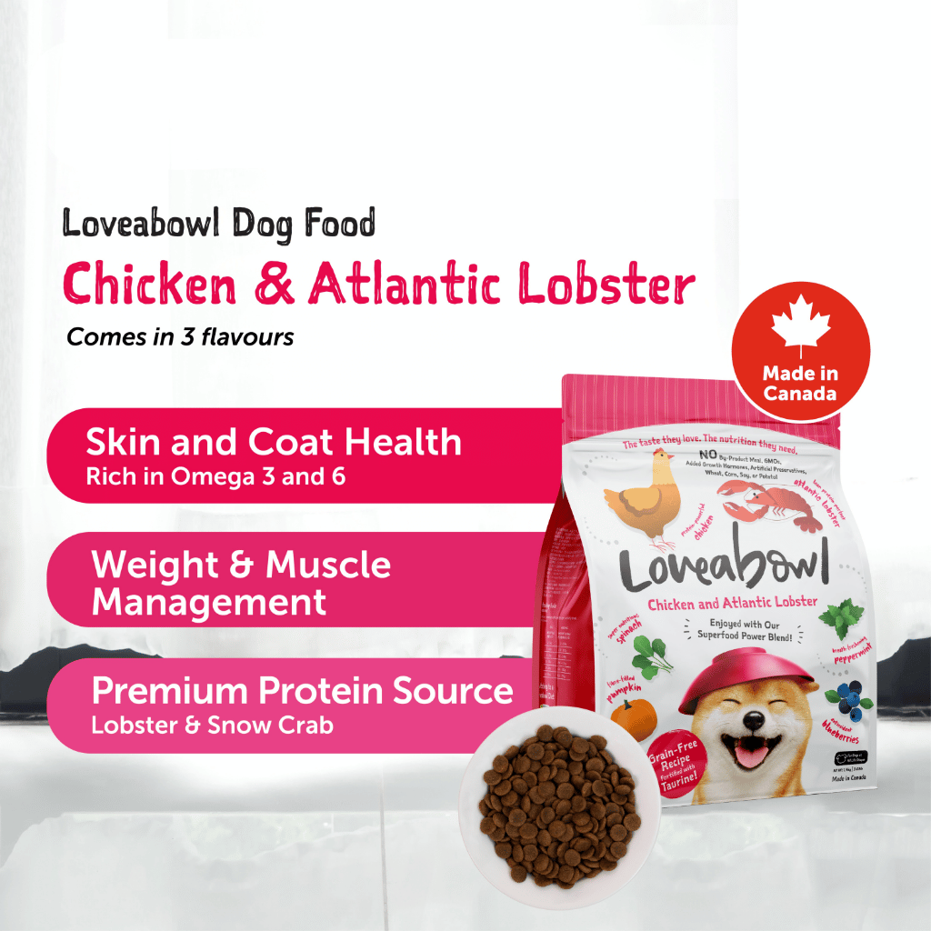 Loveabowl Grain-Free Dry Dog Food 250g – Trial Pack