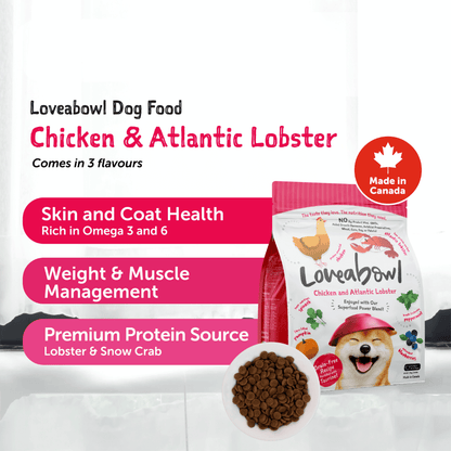 Loveabowl Grain-Free Dry Dog Food 250g – Trial Pack