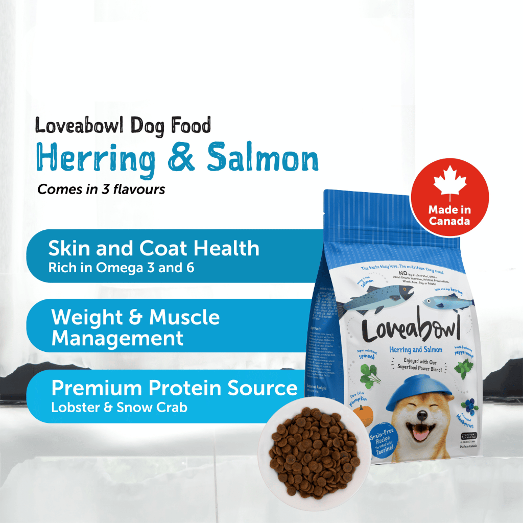 Loveabowl Grain-Free Dry Dog Food 250g – Trial Pack