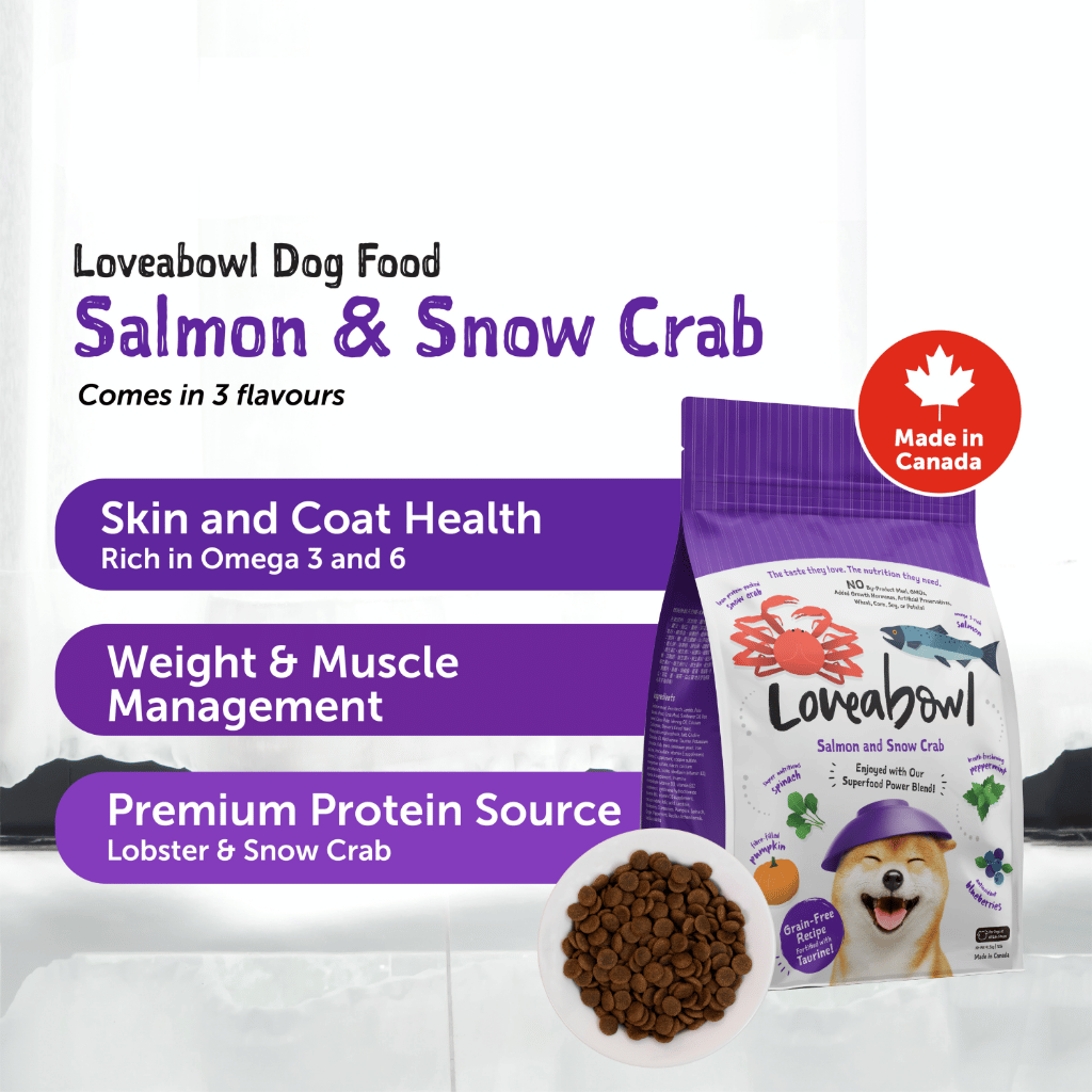 Loveabowl Grain-Free Dry Dog Food 250g – Trial Pack