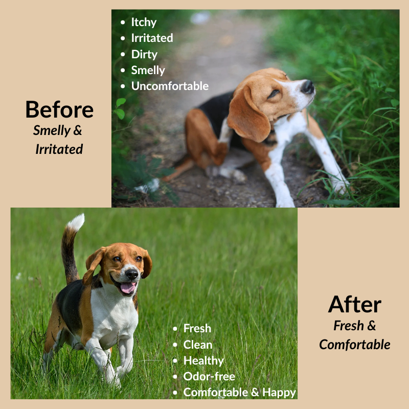 ODOUT Pet Ear Cleansing Solution 200ml
