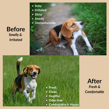 ODOUT Pet Ear Cleansing Solution 200ml