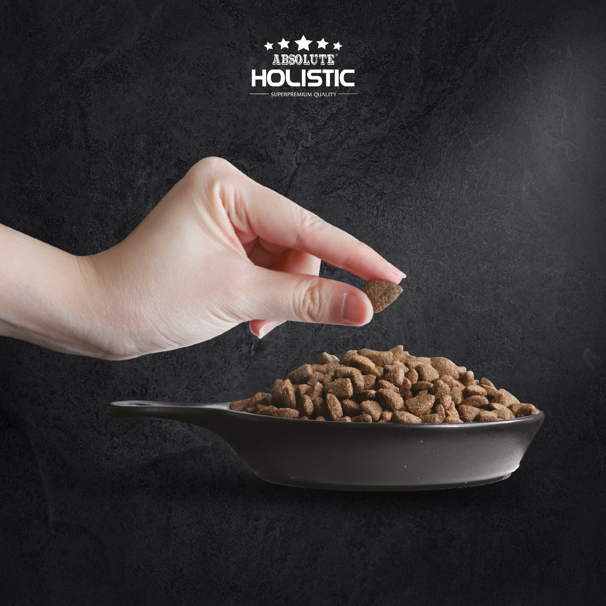 Absolute Holistic Kibbles In The Bag Dog Dry Food – Regular