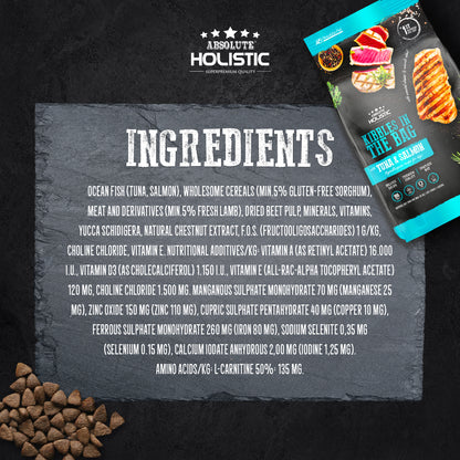 Absolute Holistic Kibbles In The Bag Dog Dry Food – Regular