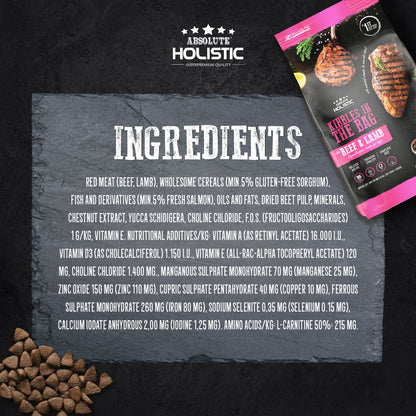 Absolute Holistic Kibbles In The Bag Dog Dry Food – Regular